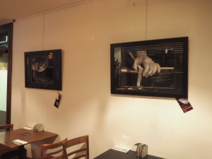 OLYMPUS DIGITAL CAMERA